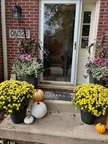 a kitchen with stainless steel appliances granite countertop a stove top oven a sink a counter space and cabinets