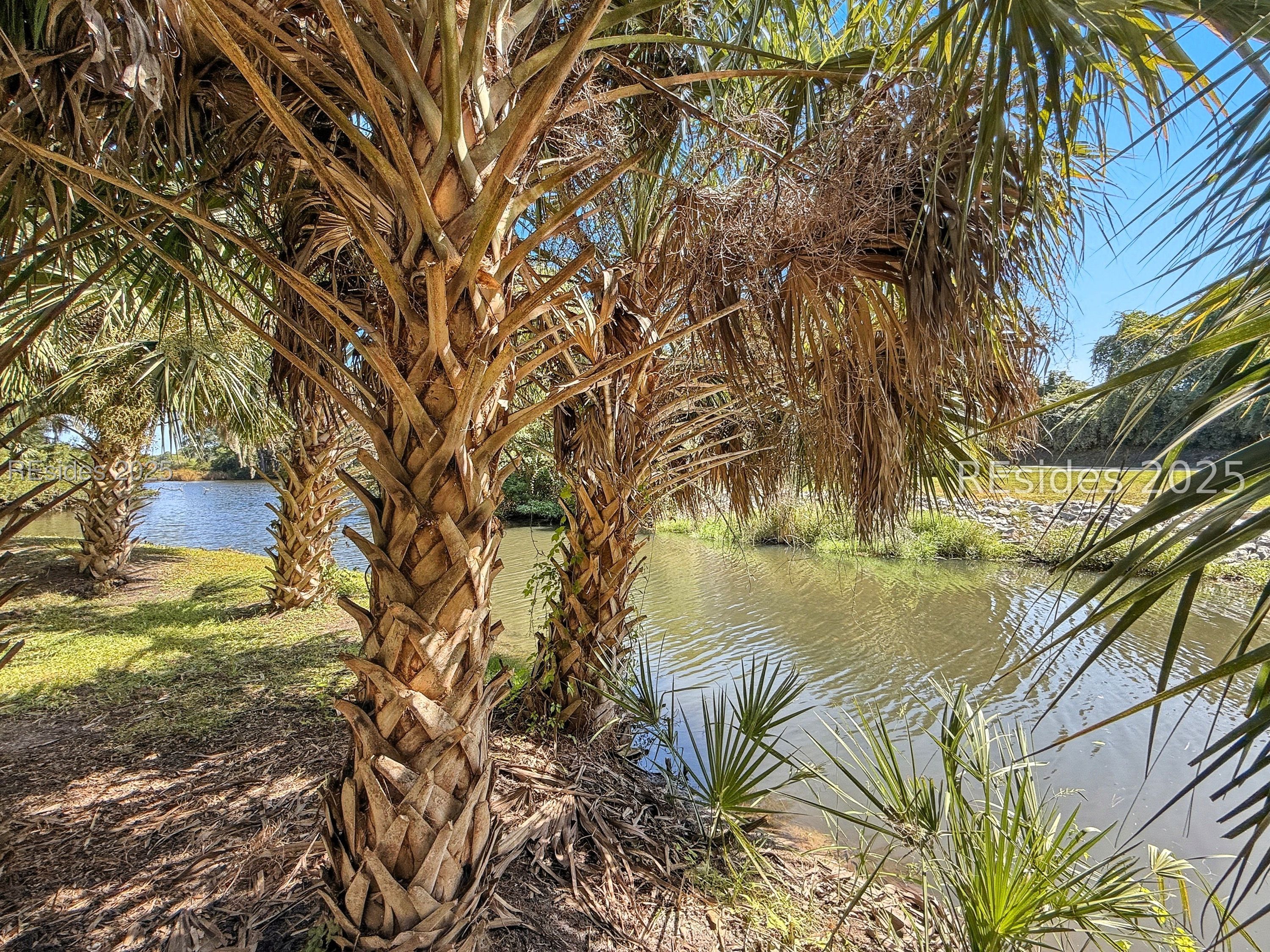 22 Stable Gate Road Hilton Head Island, SC 29926 - Photo 29 of 45