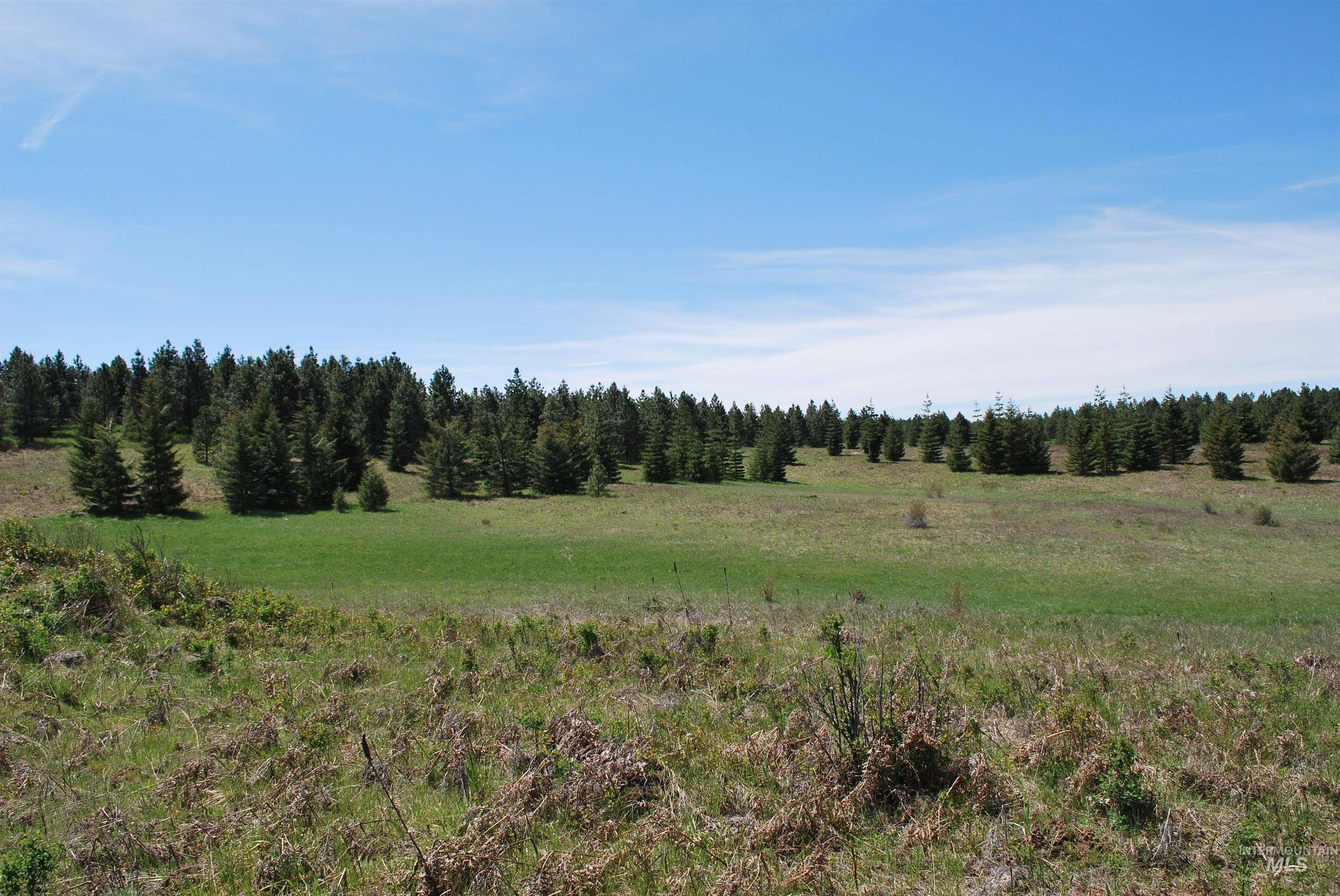 Tbd Middle Road Ahsahka, ID 83520 - Photo 22 of 31