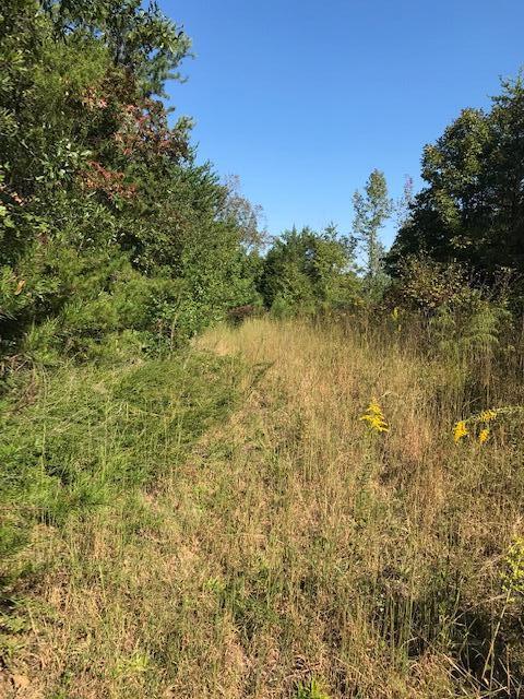 16 Athens Road Calhoun, TN 37309 - Photo 13 of 15 CHestuee 16 9