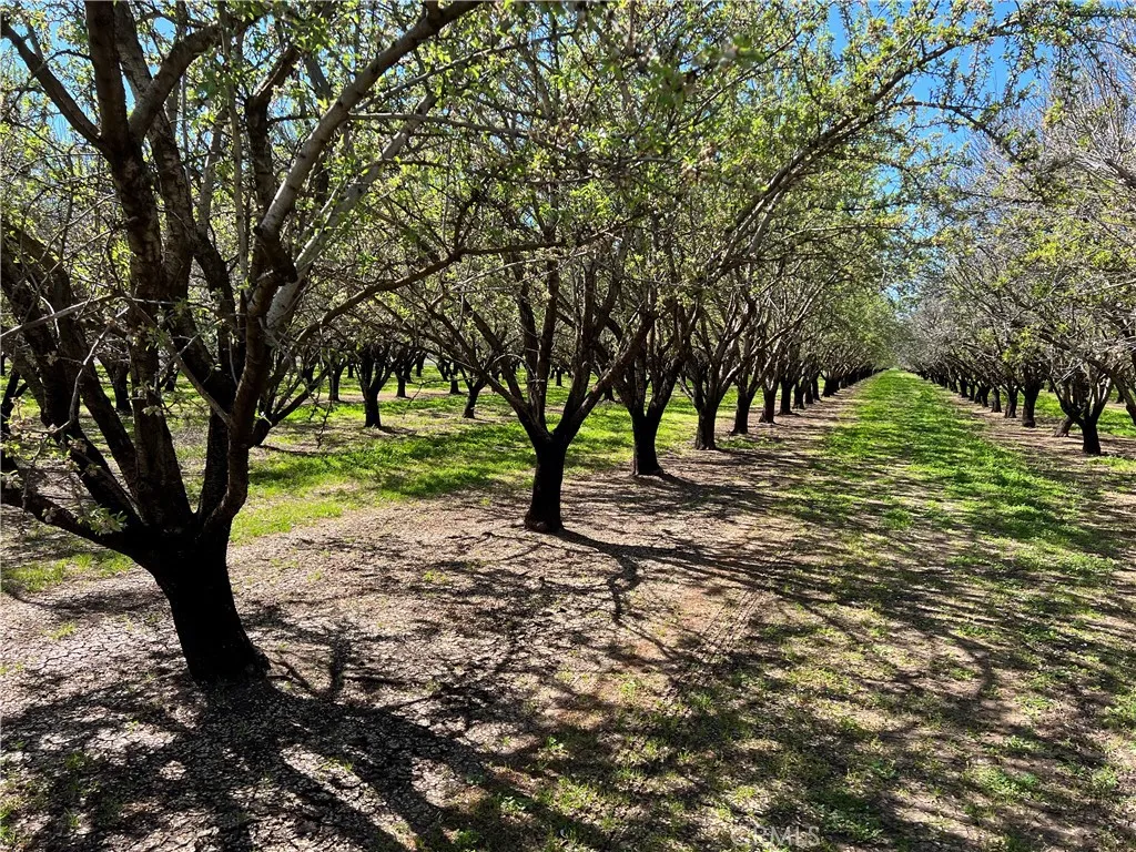 0 Cana Chico, CA 95973 - Photo 2 of 11 a view of outdoor space with trees