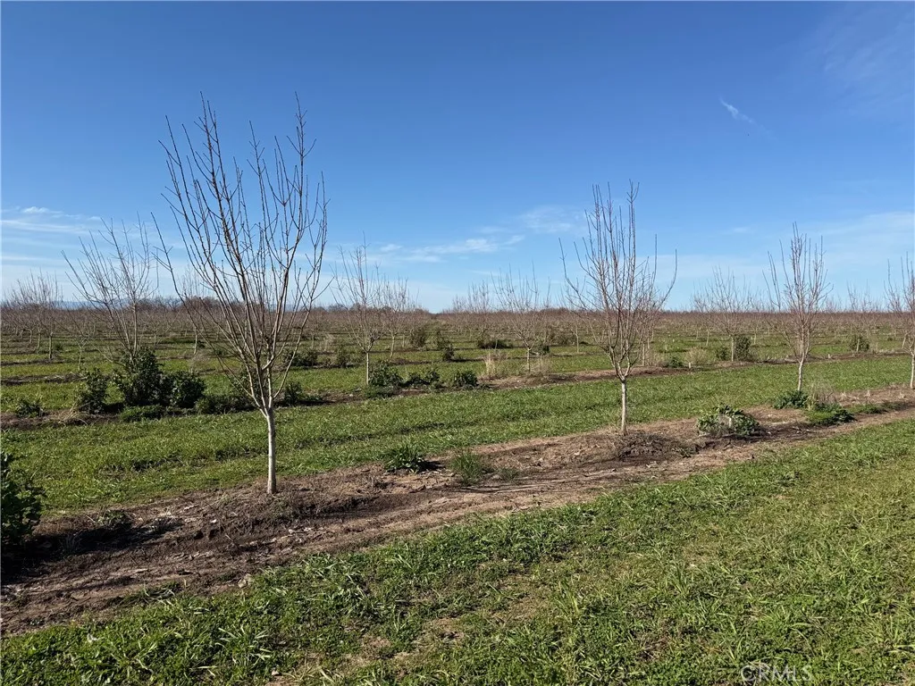 0 Cana Chico, CA 95973 - Photo 3 of 11 a view of a park