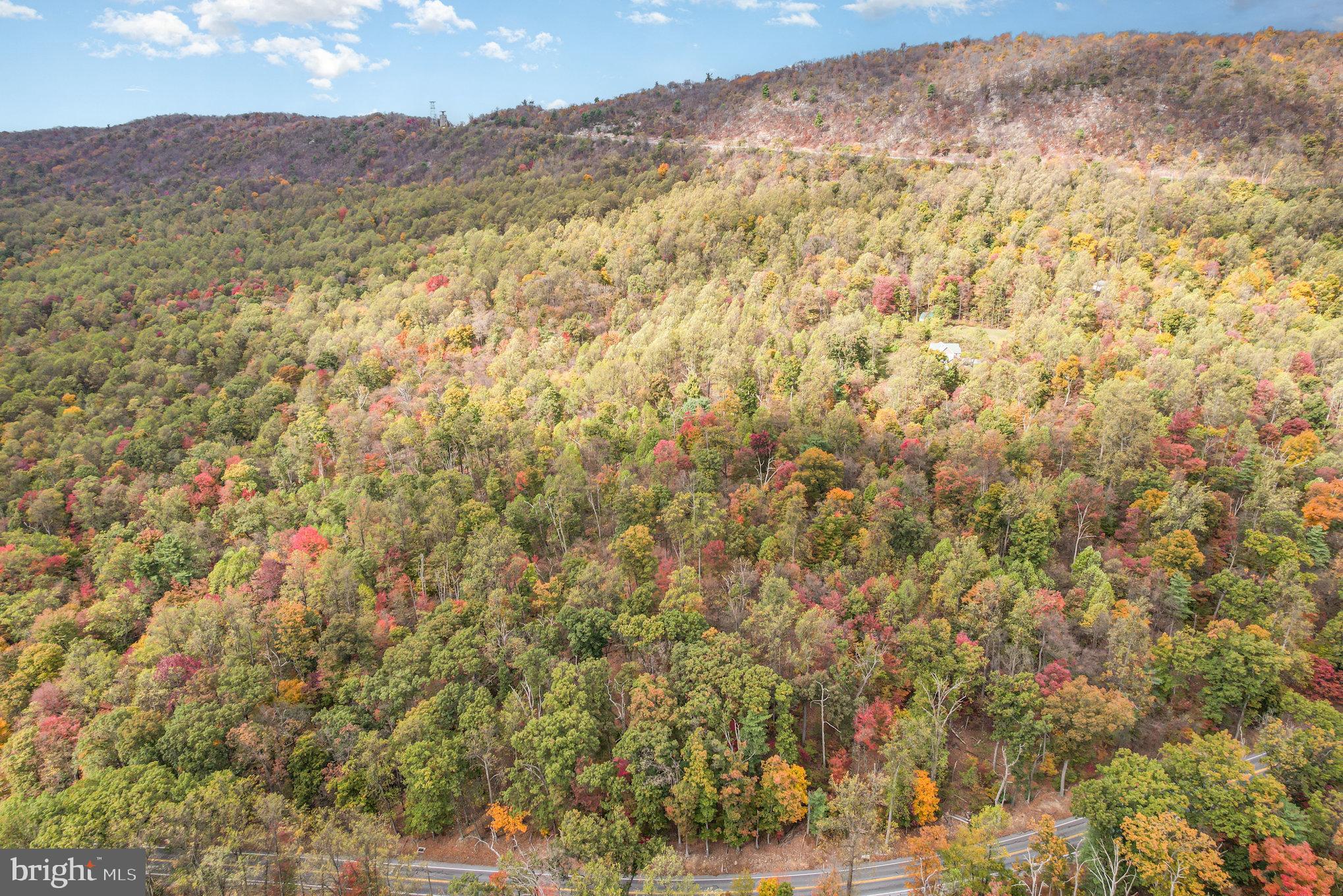 Waggoners Gap Road Carlisle, PA 17013 - Photo 11 of 16