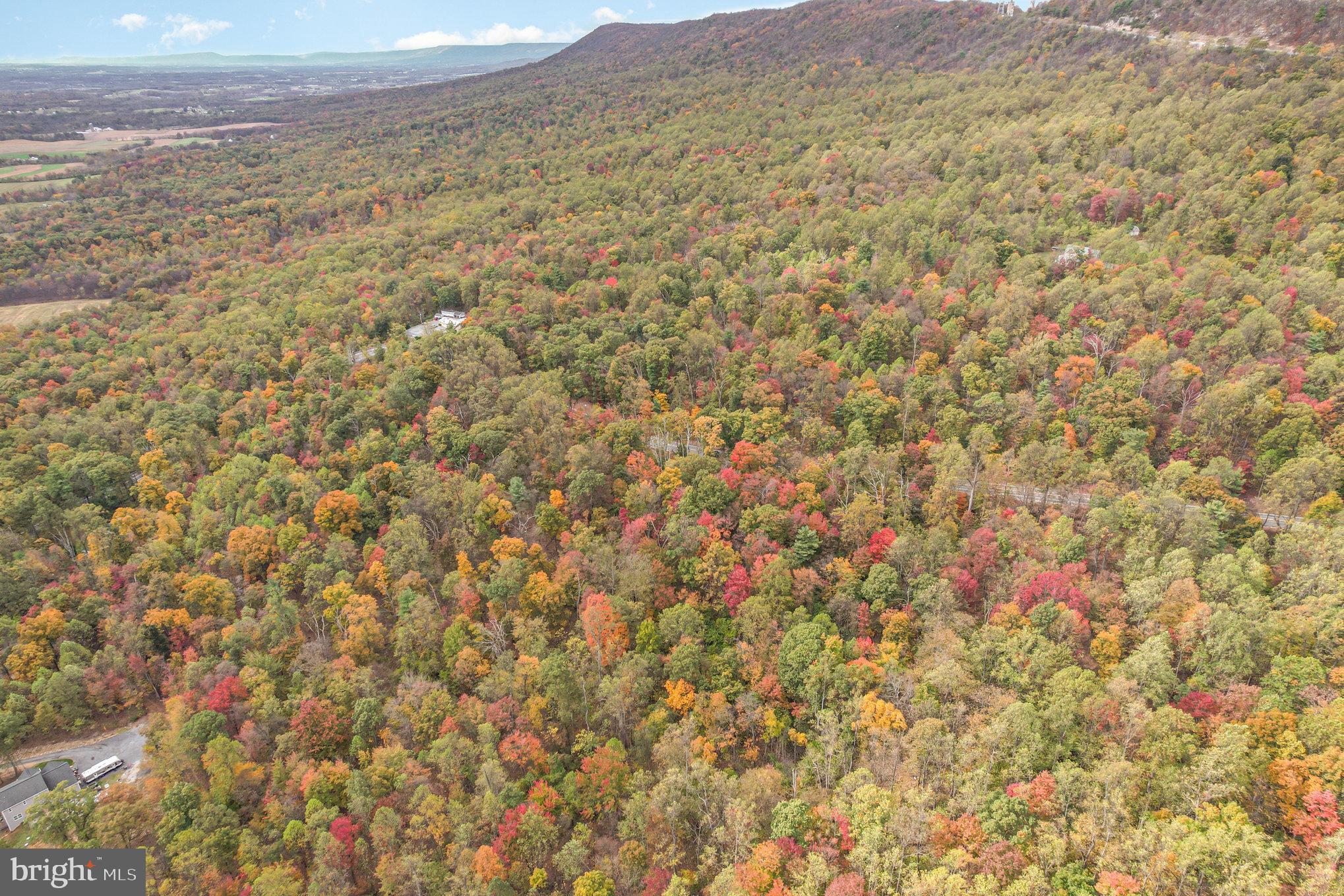 Waggoners Gap Road Carlisle, PA 17013 - Photo 13 of 16