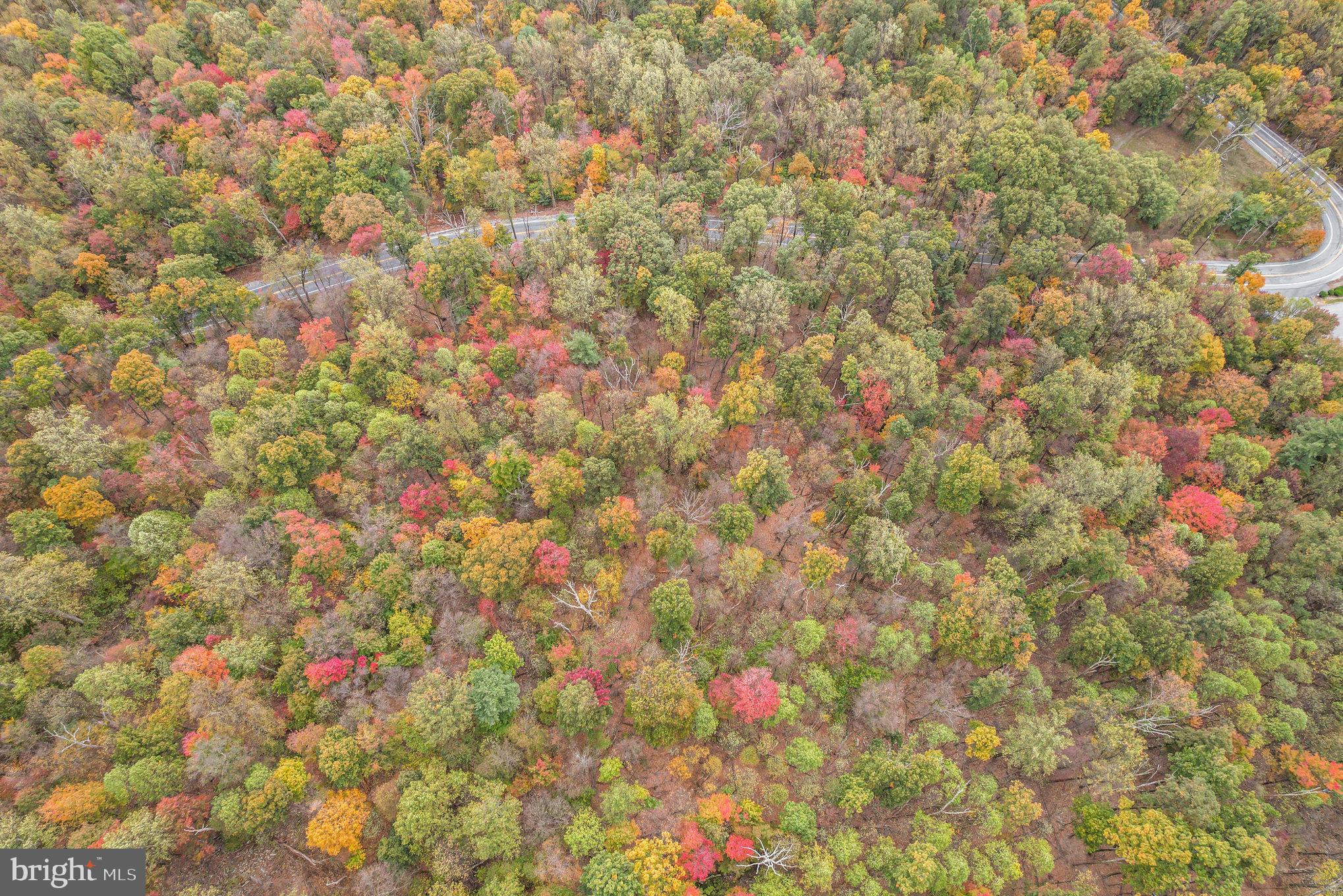 Waggoners Gap Road Carlisle, PA 17013 - Photo 3 of 16