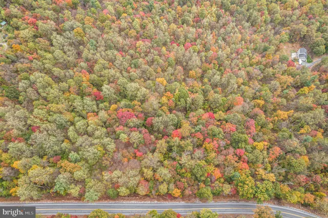 a view of a mountain