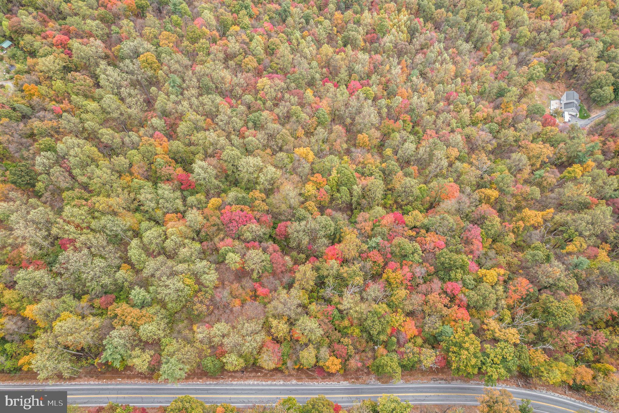 Waggoners Gap Road Carlisle, PA 17013 - Photo 4 of 16