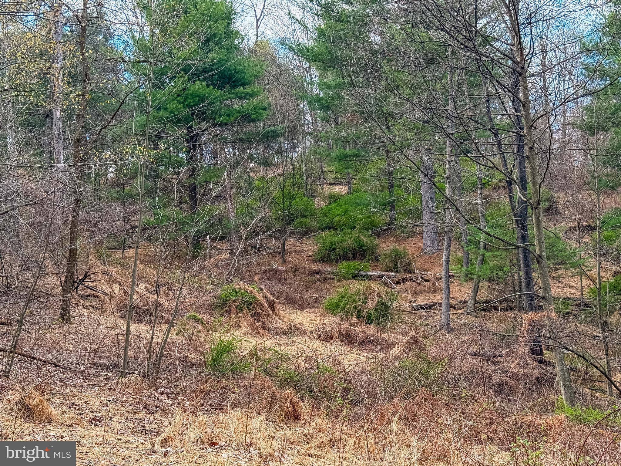 0 Meadow Road Newville, PA 17241 - Photo 23 of 34 Gallery Image 23