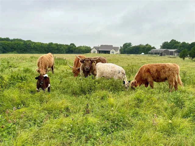 $2,490,000 | 1284 County Road 4940, Leonard, TX 75452