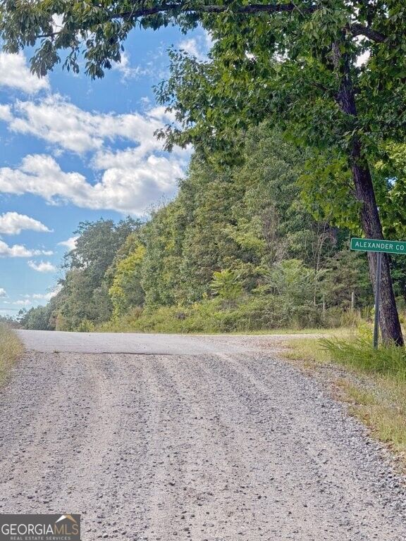0 Fox Mountain Road Marston, NC 28363 - Photo 10 of 11 Gallery Image 10