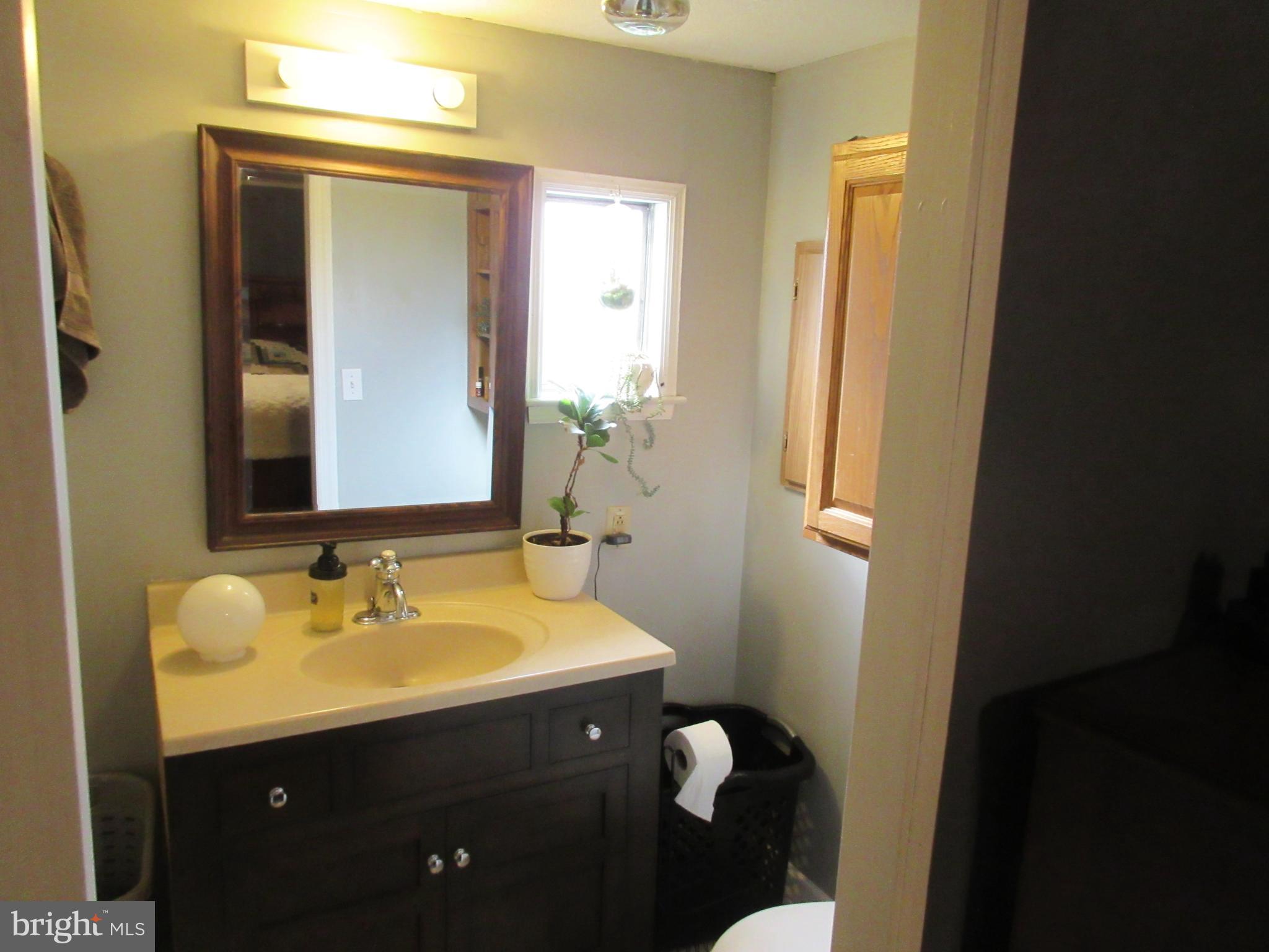1762 Lebanon Road Manheim, PA 17545 - Photo 17 of 22 Primary Bath