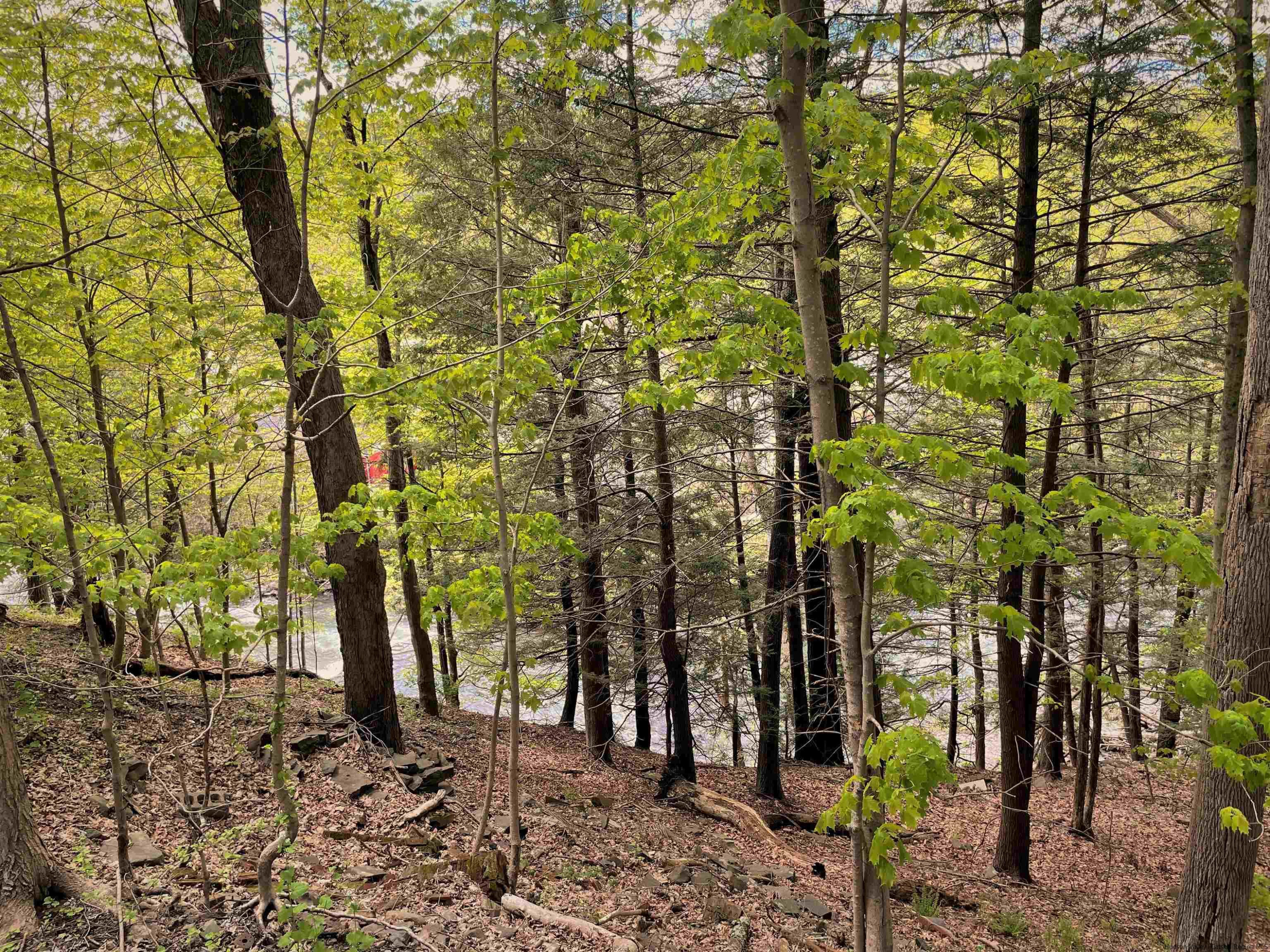 33 Hallihans Hill Road Kingston, NY 12401 - Photo 26 of 29 Photo 26