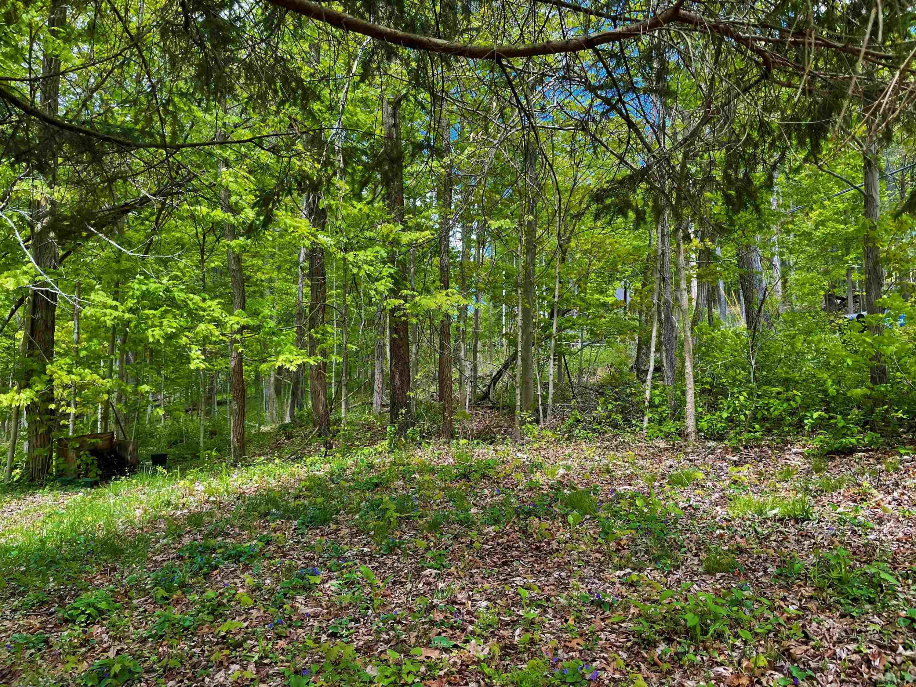 33 Hallihans Hill Road Kingston, NY 12401 - Photo 28 of 29 Photo 28