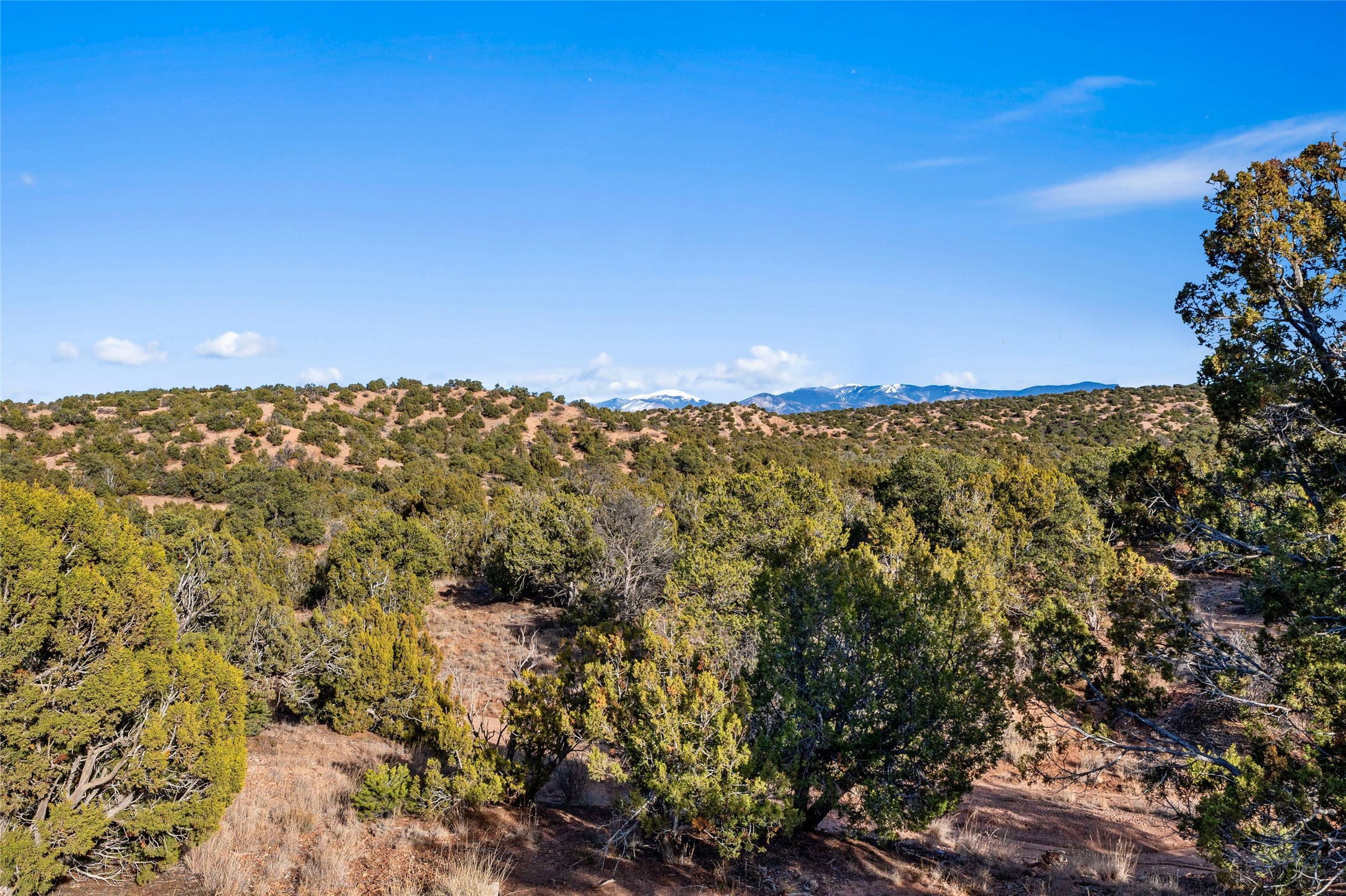 1661 Cerro Gordo Road, Unit E Santa Fe, NM 87501 - Photo 42 of 50 Views!