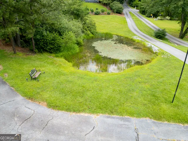 a view of a yard with a plant