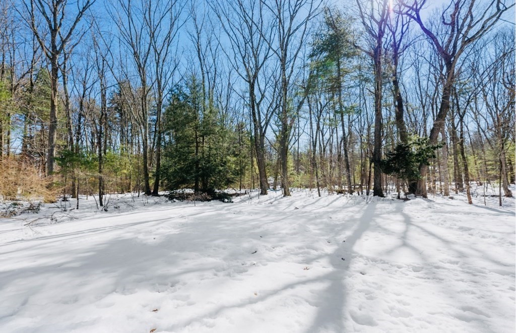 30 3 Ponds Road Wayland, MA 01778 - Photo 27 of 28 a view of road and trees