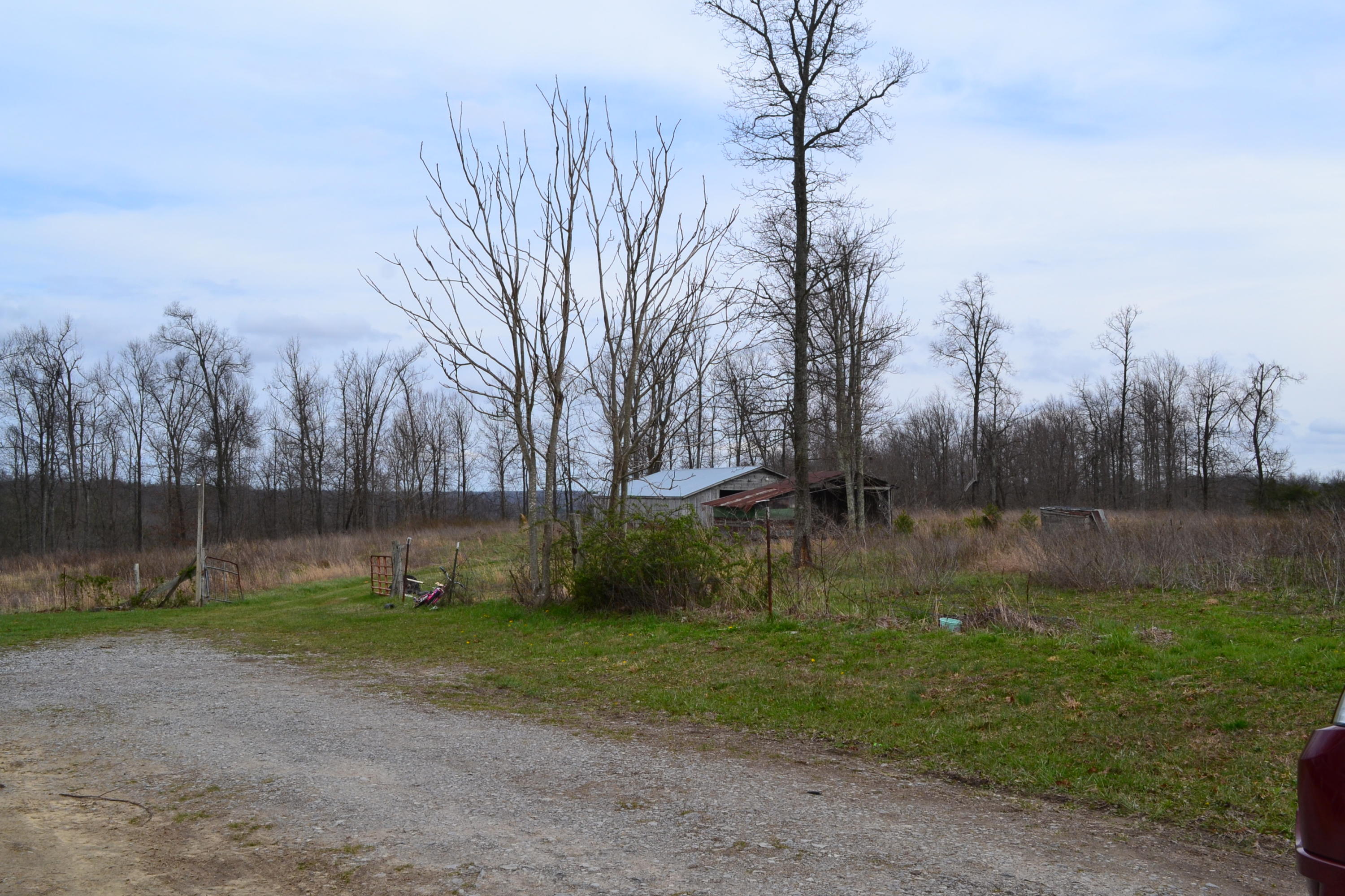 405 Ridge Lane Monterey, TN 38574 - Photo 2 of 12 DSC_0003