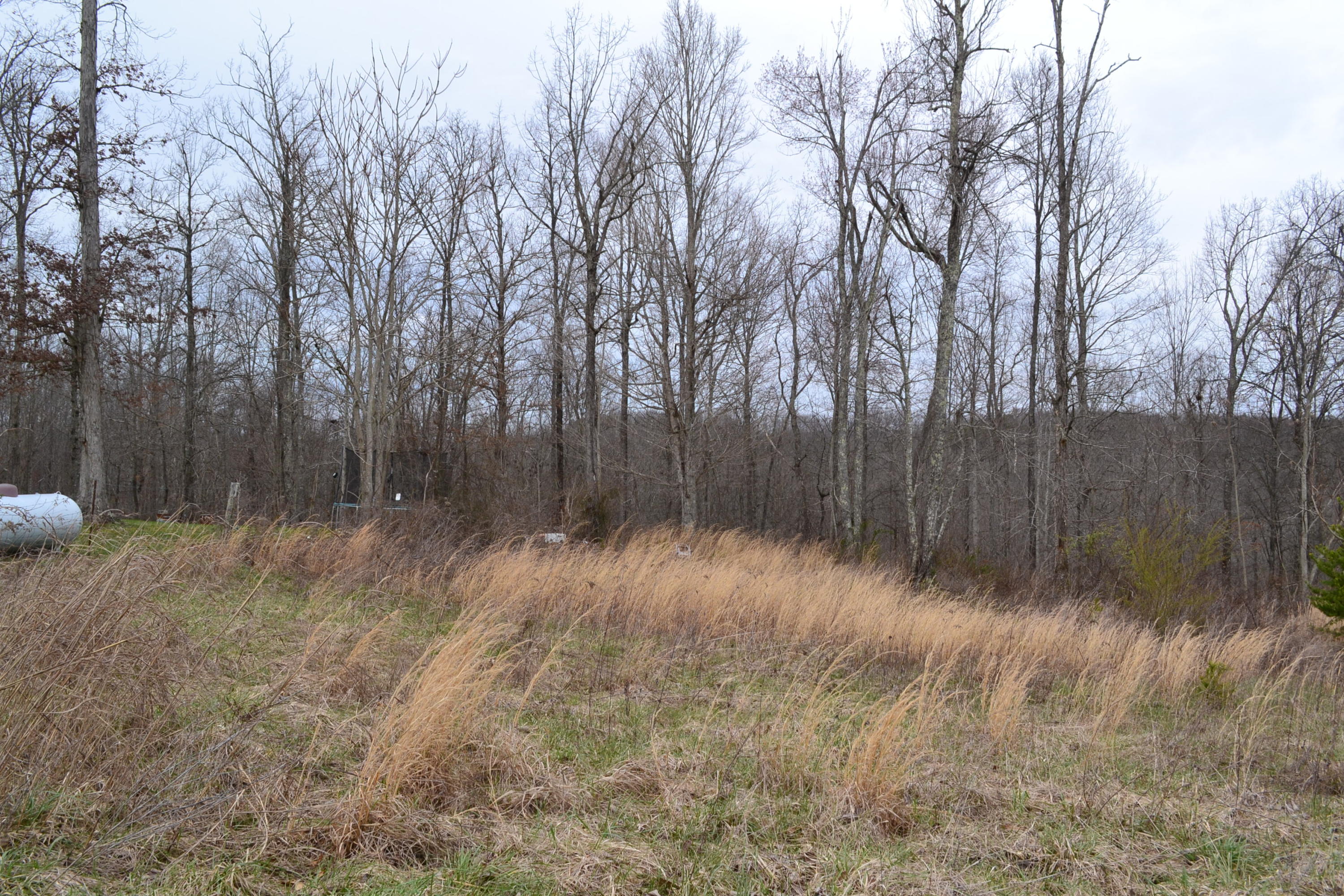 405 Ridge Lane Monterey, TN 38574 - Photo 12 of 12 DSC_0013