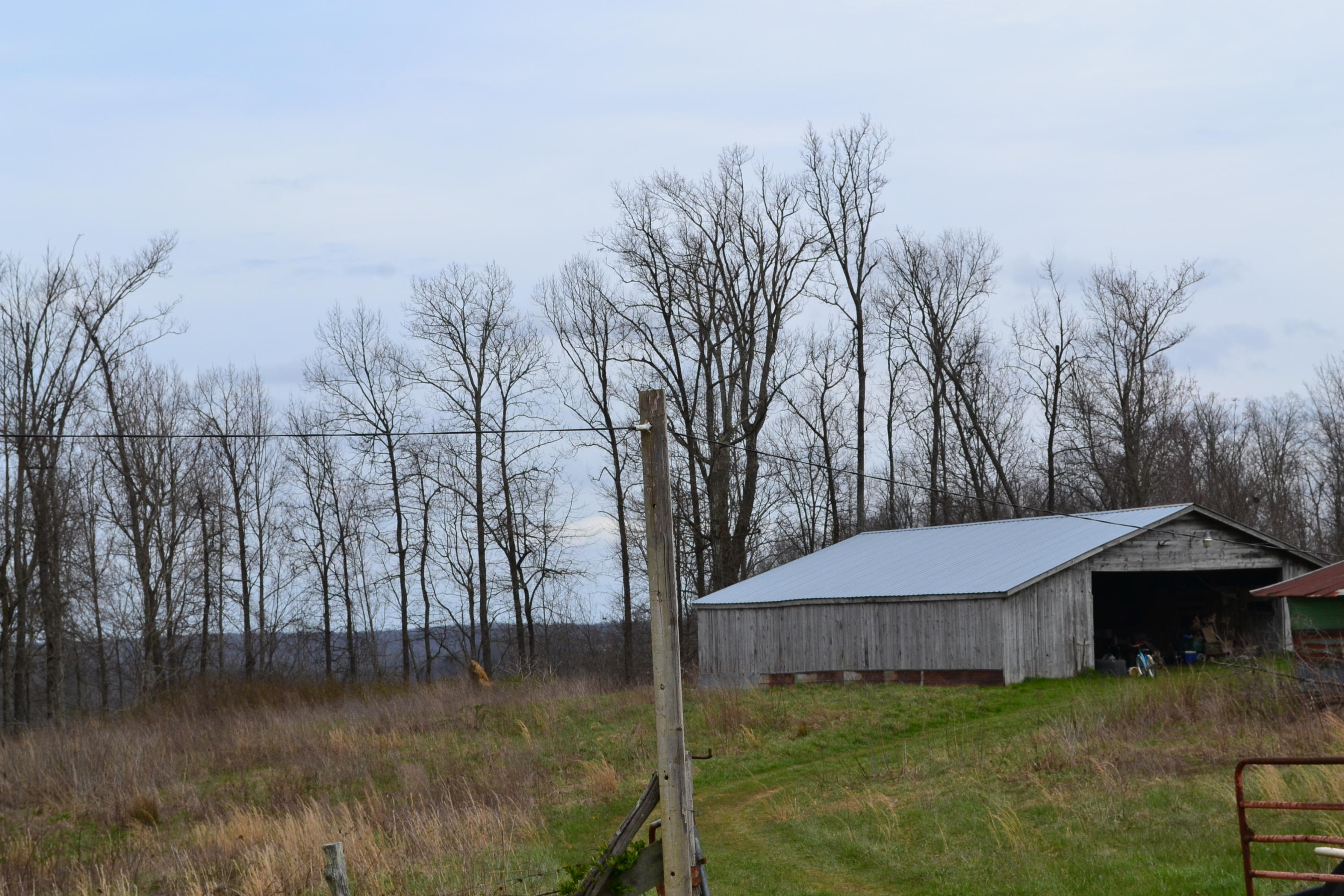 405 Ridge Lane Monterey, TN 38574 - Photo 3 of 12 DSC_0004