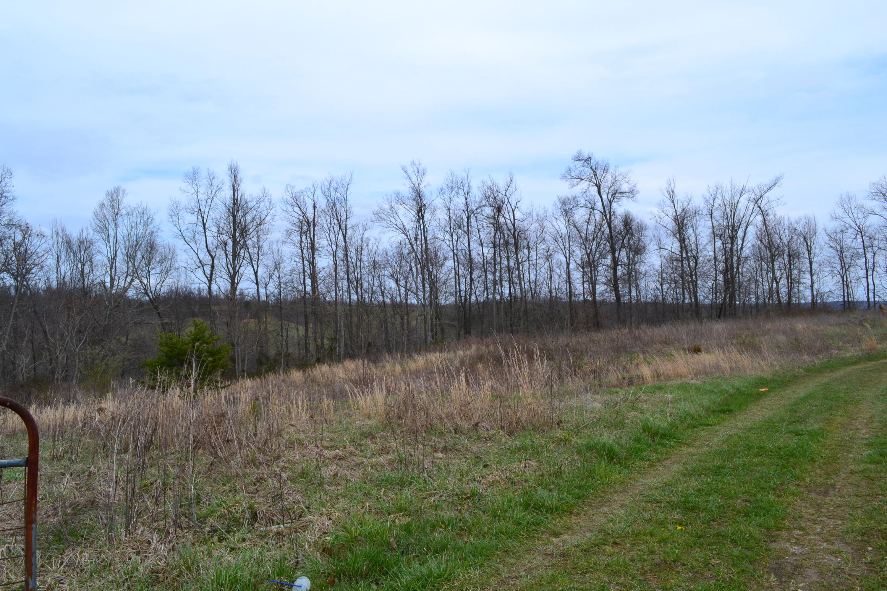 405 Ridge Lane Monterey, TN 38574 - Photo 4 of 12 DSC_0005