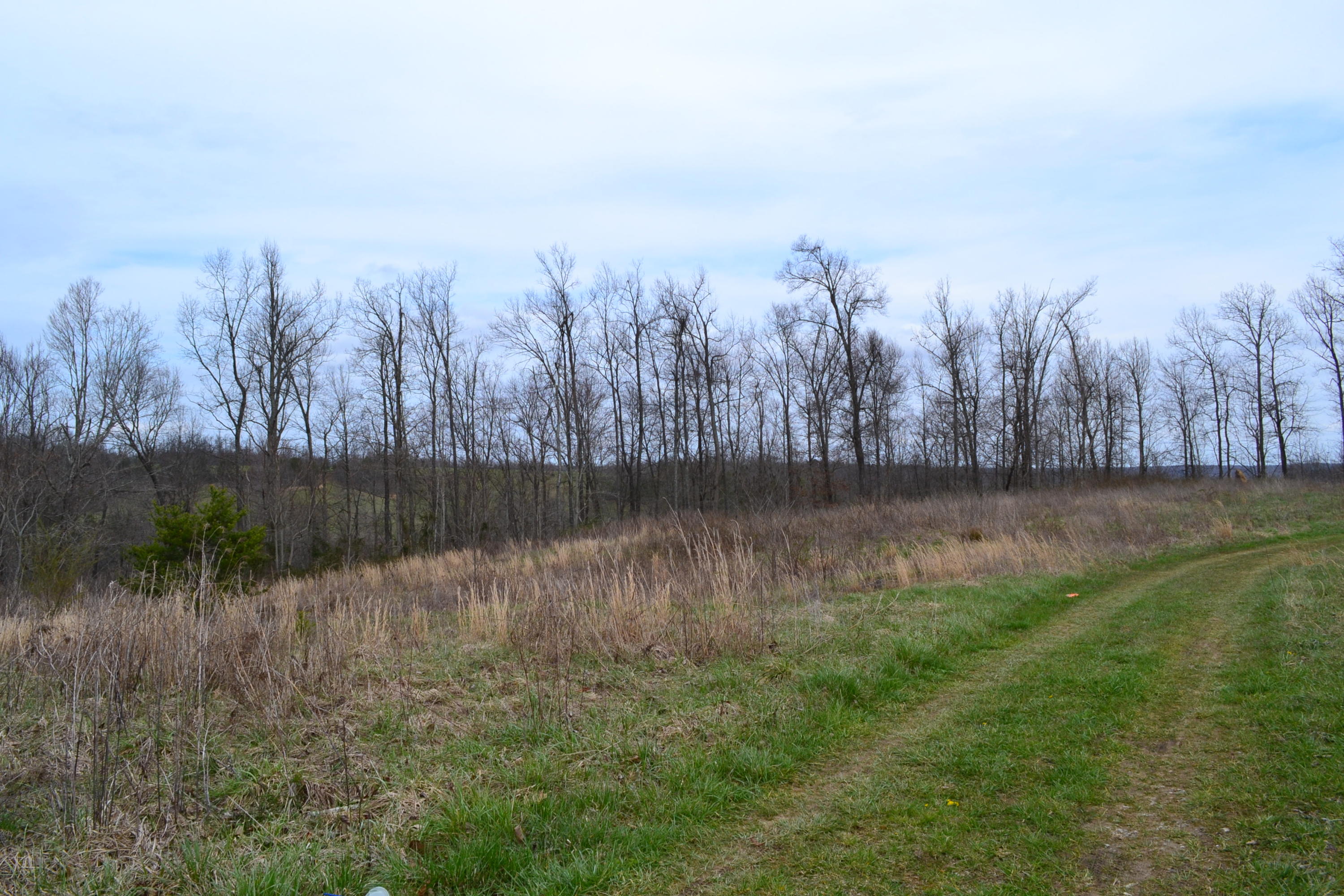 405 Ridge Lane Monterey, TN 38574 - Photo 5 of 12 DSC_0006