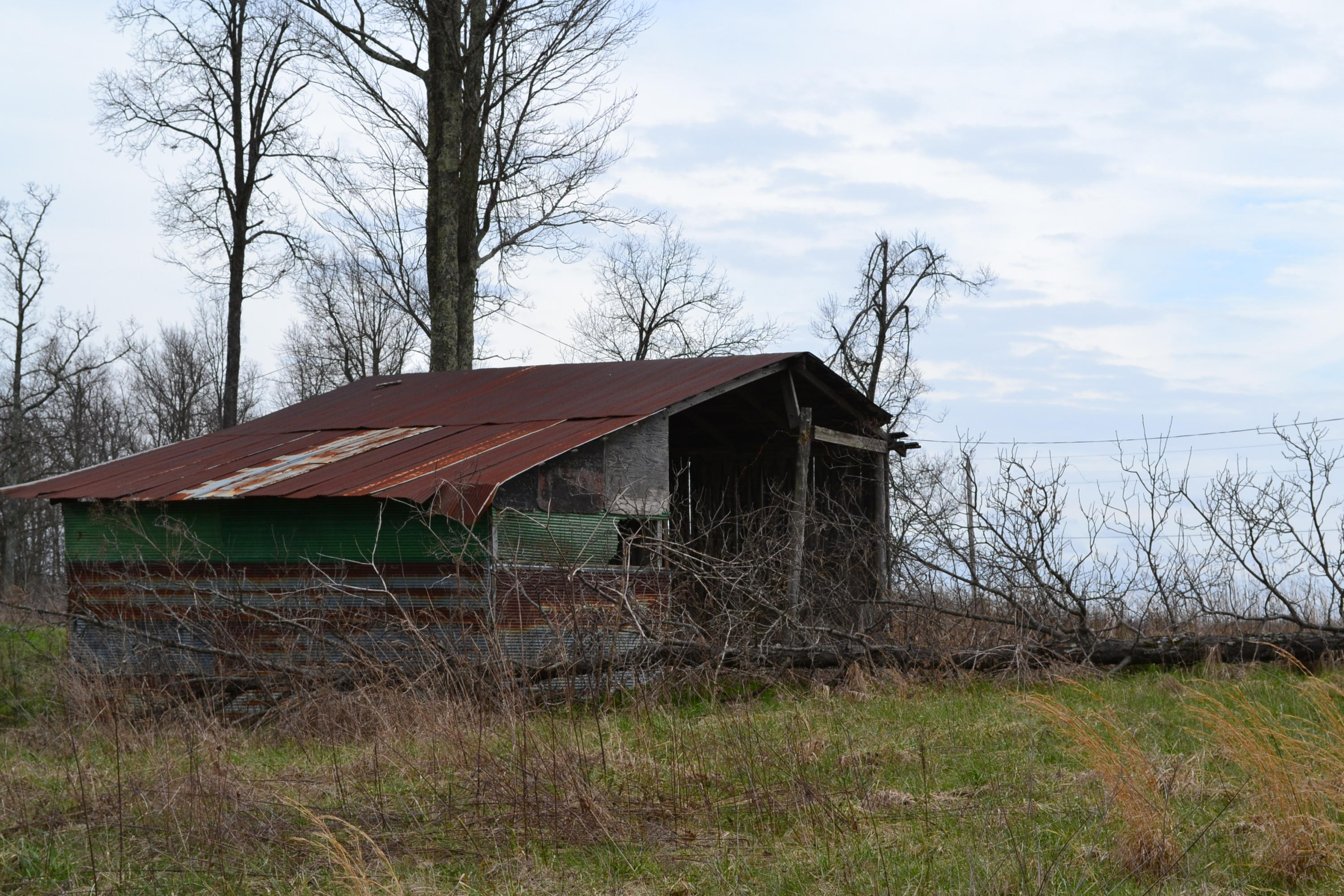 405 Ridge Lane Monterey, TN 38574 - Photo 7 of 12 DSC_0008