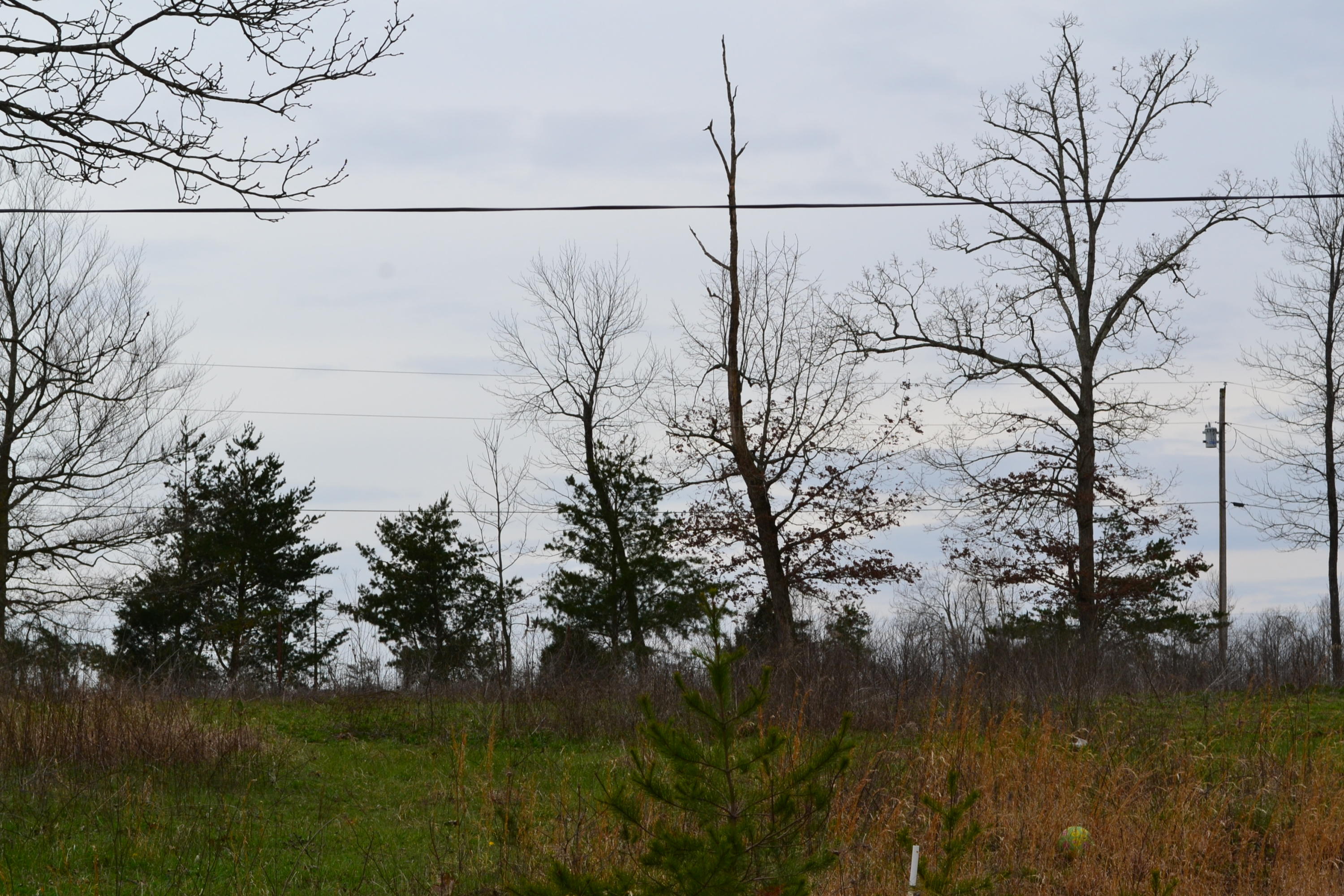 405 Ridge Lane Monterey, TN 38574 - Photo 8 of 12 DSC_0009