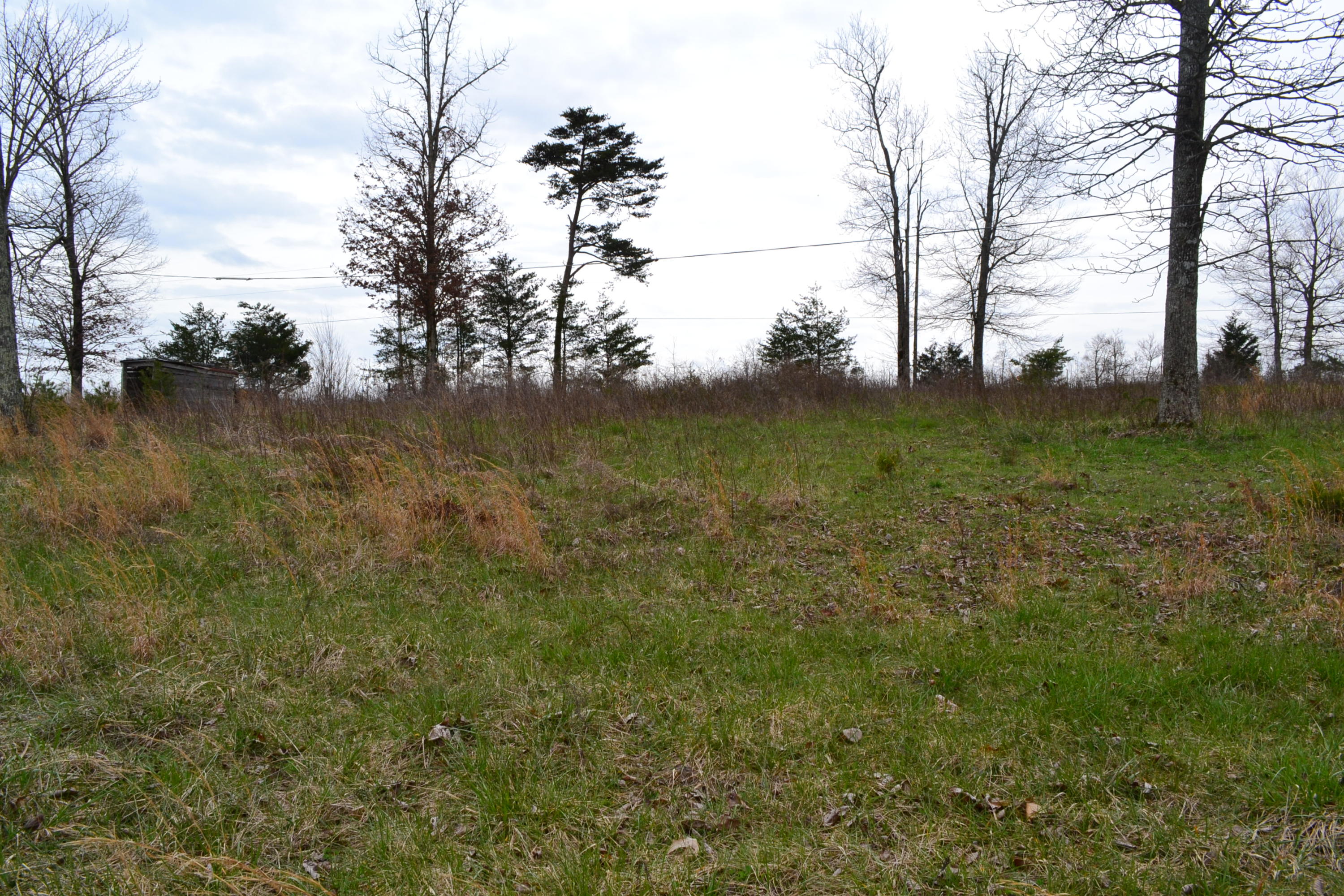405 Ridge Lane Monterey, TN 38574 - Photo 9 of 12 DSC_0010