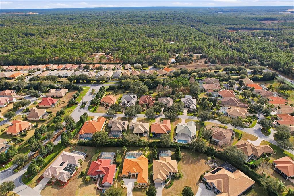 1416 North Ridge Meadow Path Hernando, FL 34442 - Photo 66 of 68 an aerial view of residential houses with outdoor space