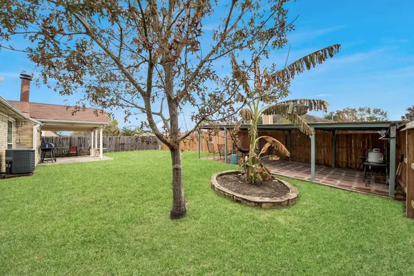 a view of a house with backyard and a tree