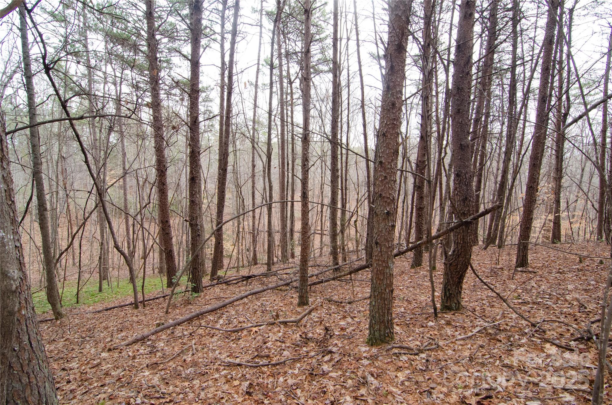0 Rainbow Rapids Road Rutherfordton, NC 28139 - Photo 2 of 4 a view of a backyard