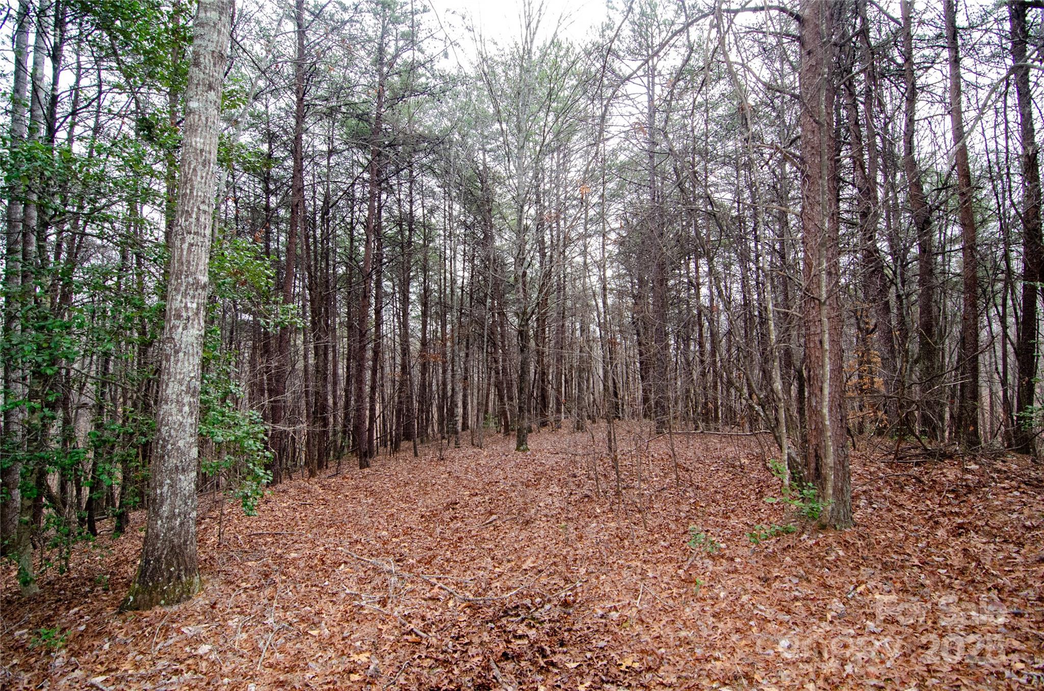 0 Rainbow Rapids Road Rutherfordton, NC 28139 - Photo 3 of 4 a view of wooden fence