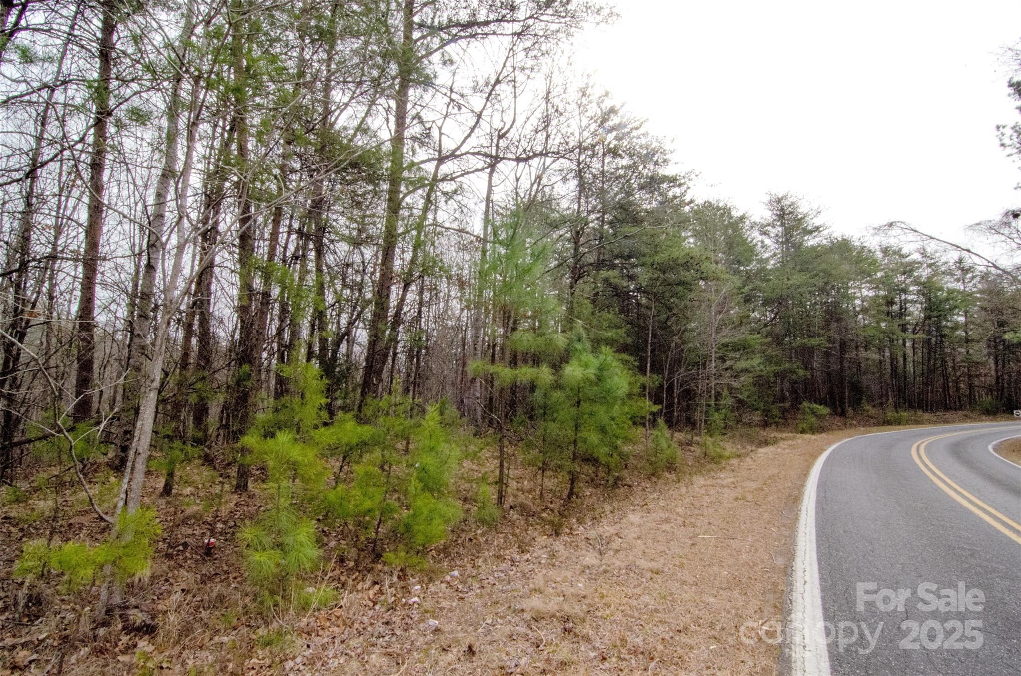 0 Rainbow Rapids Road Rutherfordton, NC 28139 - Photo 4 of 4 a view of a street with a trees