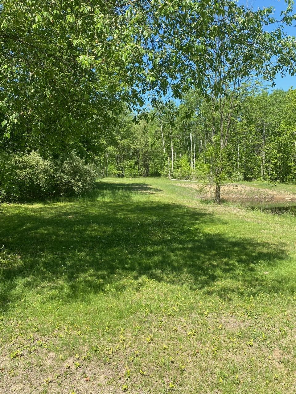 3302 Dana Road Coleman, MI 48618 - Photo 4 of 50
