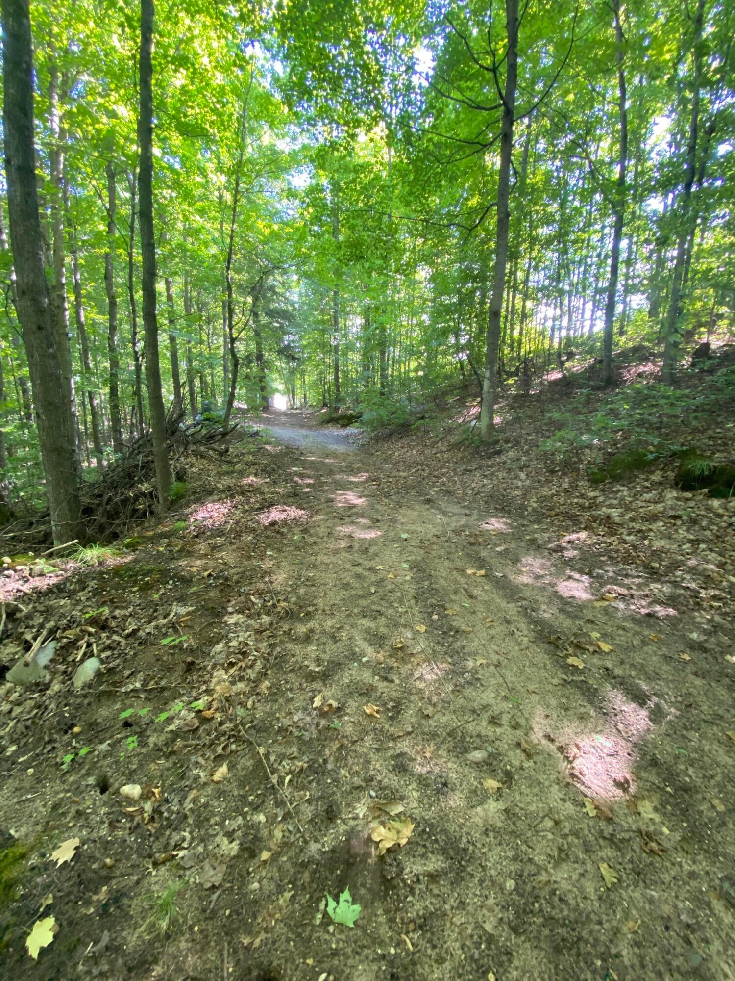 8584 West Cameron Bridge Road Frederic, MI 49733 - Photo 24 of 34 Gallery Image 24