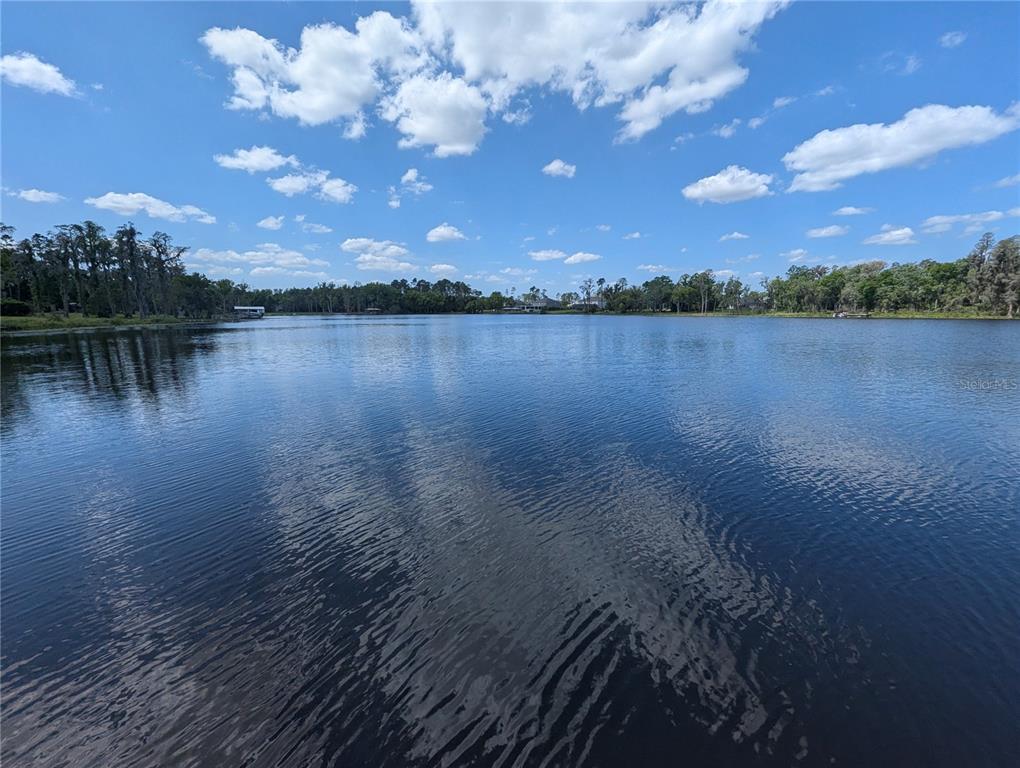 18302 Hanna Road Lutz, FL 33549 - Photo 11 of 58 a view of lake