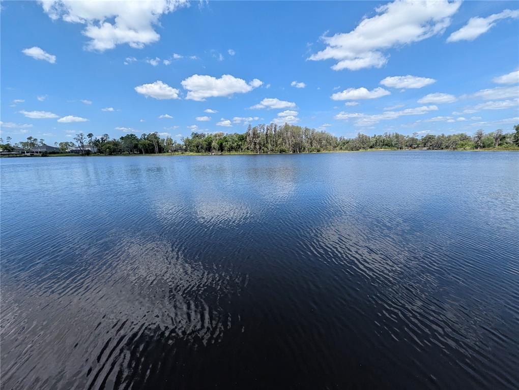 18302 Hanna Road Lutz, FL 33549 - Photo 14 of 58 a view of lake