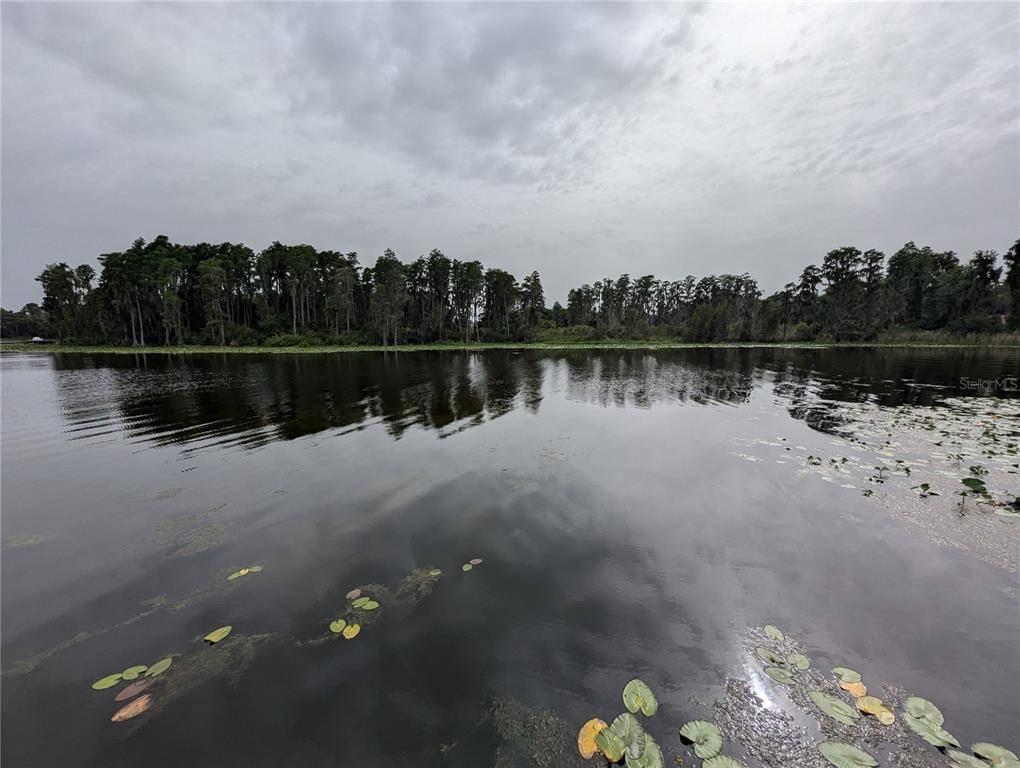 18302 Hanna Road Lutz, FL 33549 - Photo 15 of 58