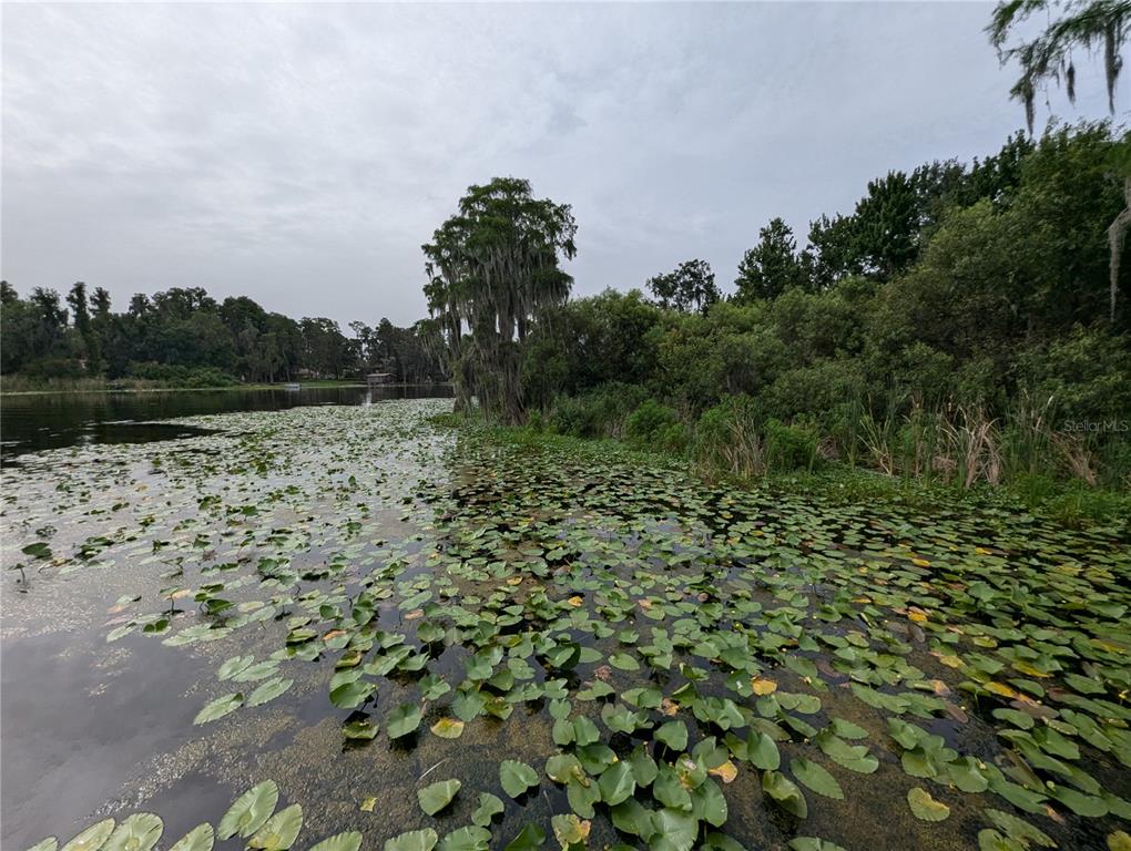 18302 Hanna Road Lutz, FL 33549 - Photo 18 of 58 a view of a lake view