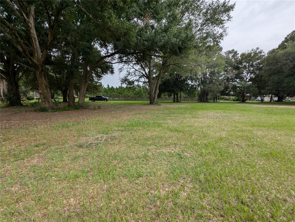 18302 Hanna Road Lutz, FL 33549 - Photo 19 of 58 a view of a field with trees in the background