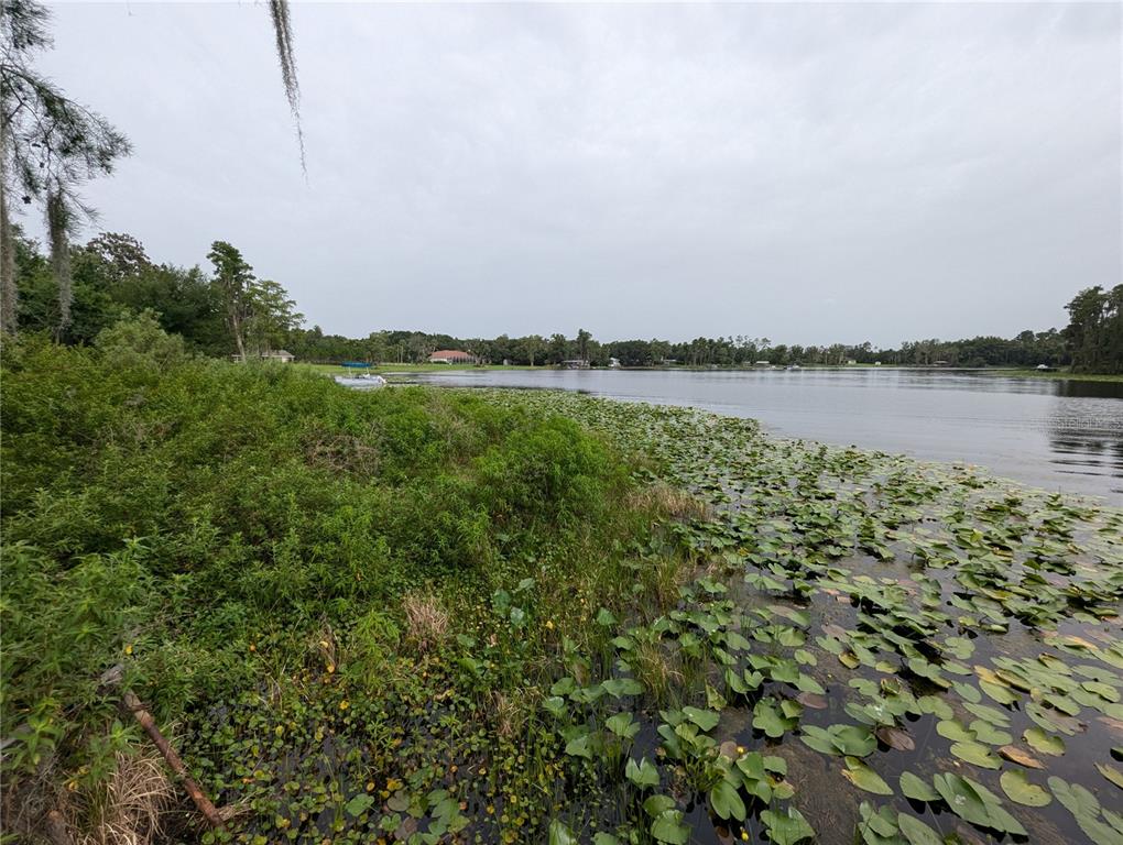 18302 Hanna Road Lutz, FL 33549 - Photo 20 of 58 a view of a lake from a yard