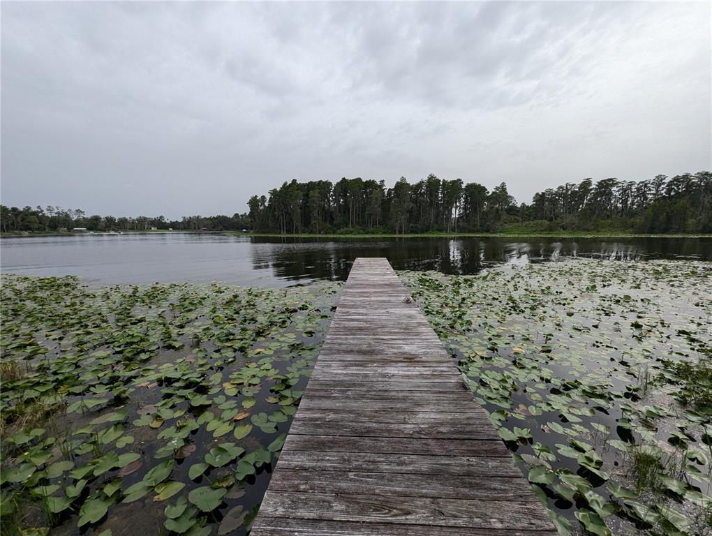 18302 Hanna Road Lutz, FL 33549 - Photo 21 of 58 a view of lake
