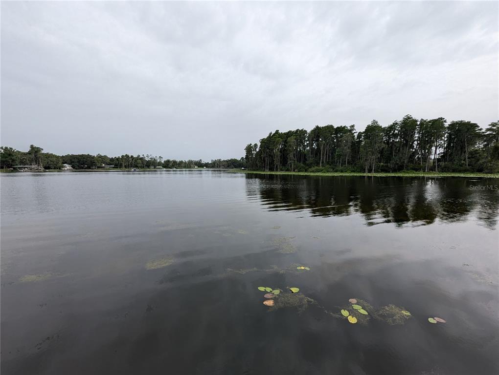 18302 Hanna Road Lutz, FL 33549 - Photo 22 of 58 a view of a lake