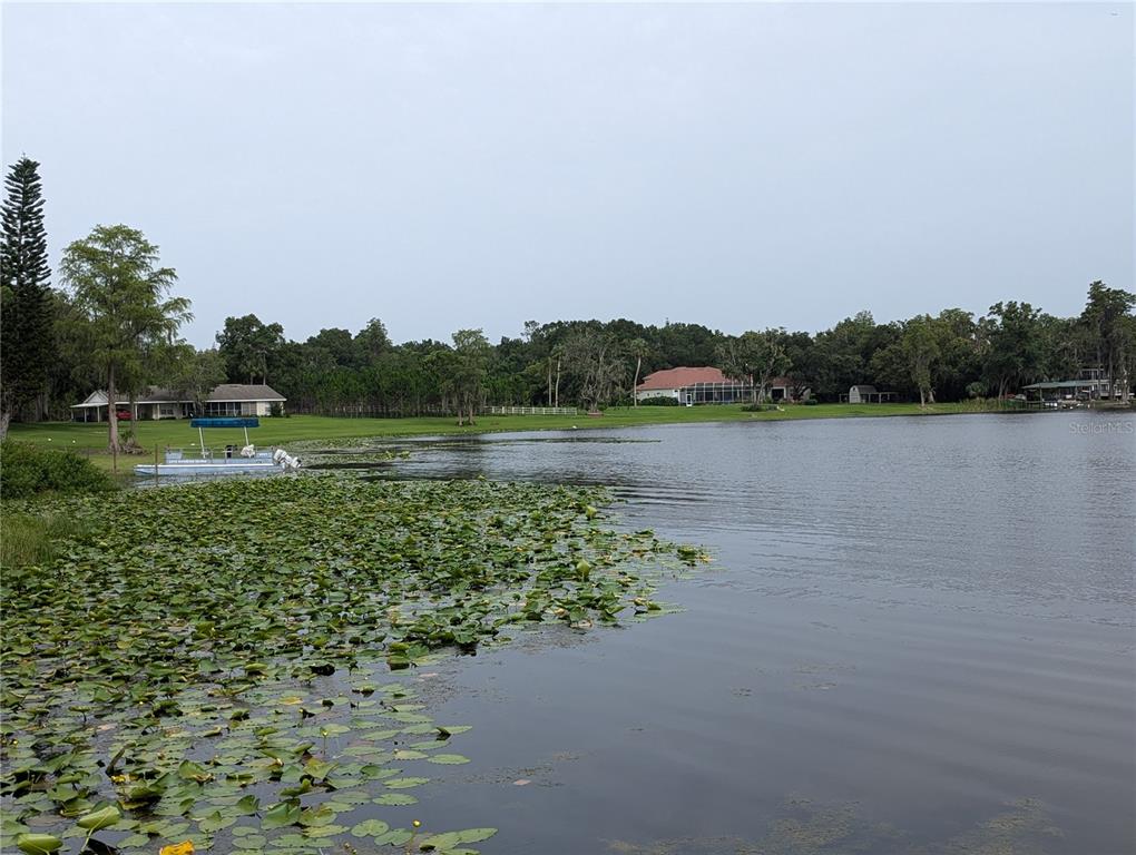 18302 Hanna Road Lutz, FL 33549 - Photo 23 of 58 a view of a lake with a big yard
