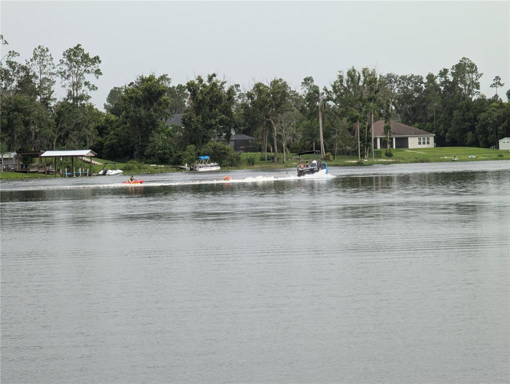 18302 Hanna Road Lutz, FL 33549 - Photo 24 of 58 a view of a swimming pool with a yard