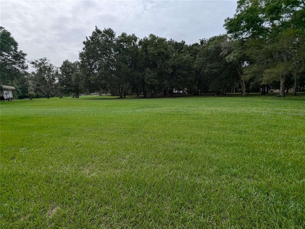 18302 Hanna Road Lutz, FL 33549 - Photo 31 of 58 a view of yard with green space