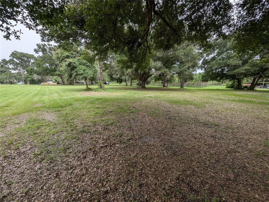 18302 Hanna Road Lutz, FL 33549 - Photo 32 of 58 a view of grassy field with benches