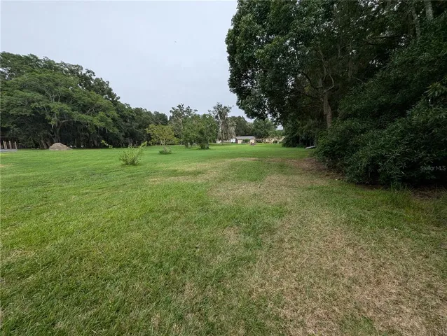 a view of field with tall trees