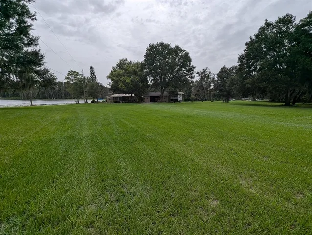 a view of a grassy field with trees in the background