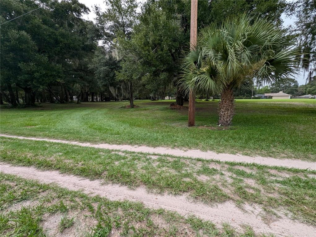 18302 Hanna Road Lutz, FL 33549 - Photo 39 of 58 a view of a park with trees